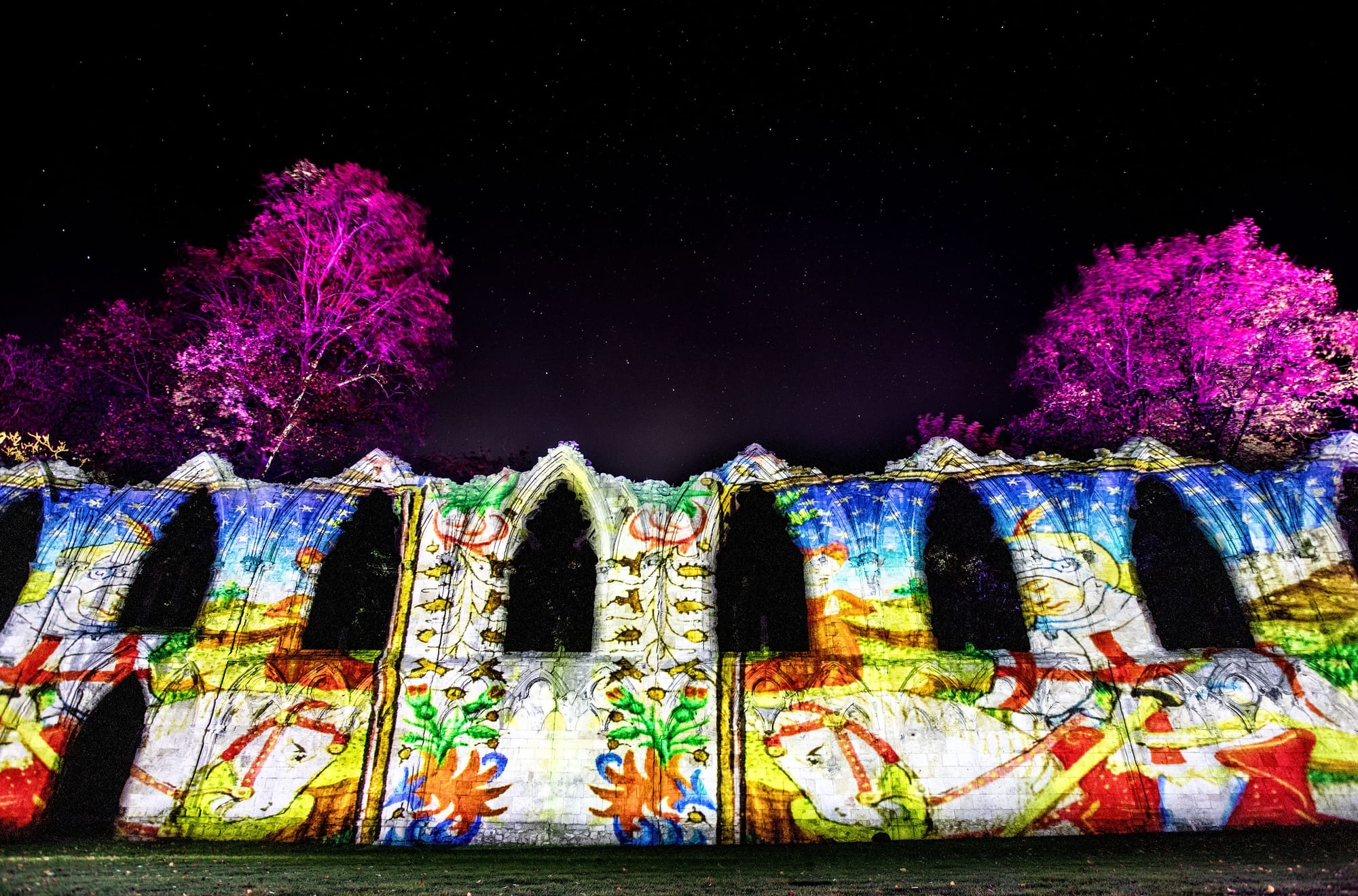 Echoes of Yorkshire: The Museum Illuminated