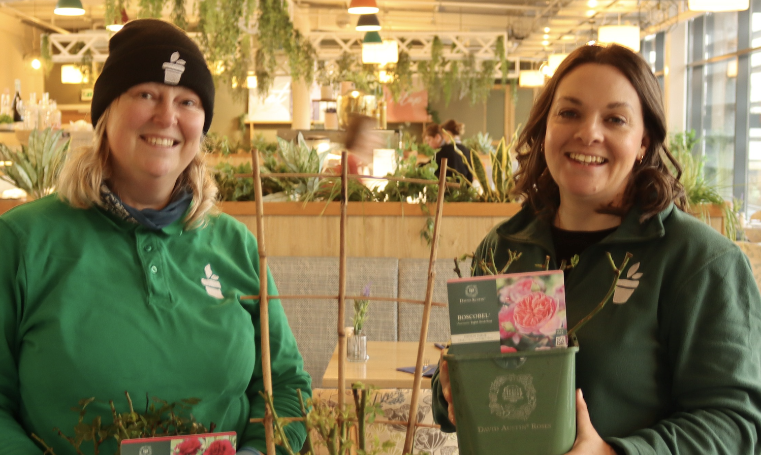 Bradford Garden Centre to host pruning masterclass with leading rose grower