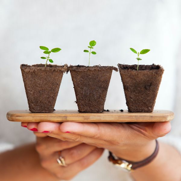 Grow a sustainable business for free
