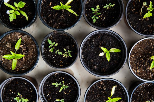 Calderdale College launches free green and sustainability short courses