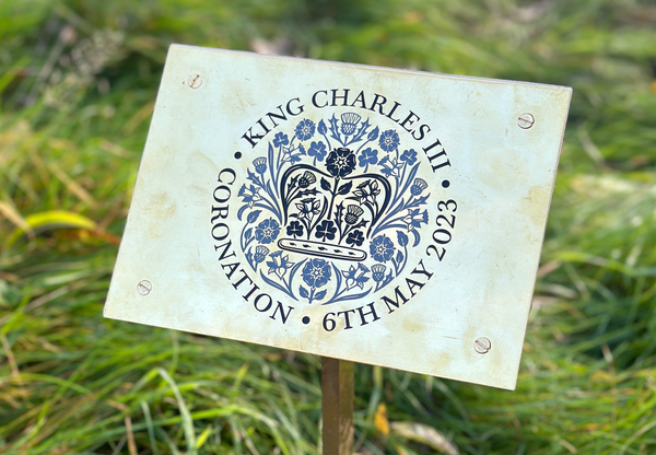 Crowning glory – Lord-Lieutenant’s King’s Coronation Tree finds a home at Yorkshire Sculpture Park