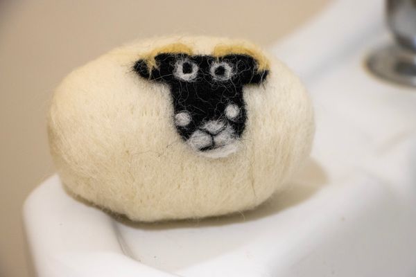 Woolly collaboration brings Yorkshire brands together
